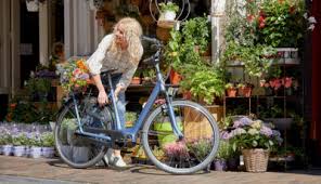 Welches Fahrrad Passt Zu Mir Radonline De