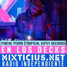Dlm pro members will also gain access to exclusive features. El Pinche Perro Electro Tropical Balkan 100 Vinyls En Los Decks De Radio Mixticius Bogota By Tropical Gipsy Records