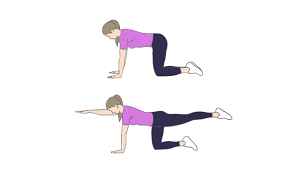 This beginner to intermediate oblique exercise works the oblique (side) muscles as well as the upper and lower abs (whole rectus abdominis). Mit Diesem Workout Bekommst Du Eine Wespentaille Elle