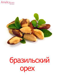 животные жарких стран занятие для детей 2 3 лет Kartinki Orehi Dlya Detej Kartochki Domana Skachat V 2020 G Nacionalnaya Eda Pekan Dlya Detej