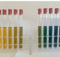 Calibration curve for PVA detection using Mowiol® 28-99 ...