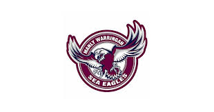 Here is a look at some of the best nrl team logos. Dick Smith Manly Sea Eagles Nrl Logo Sticker Car School Books 100 X 100mm Toys Hobbies Action Figures Sports