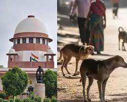 कुत्तों के काटने से रेबीज होने की रिपोर्ट पर सुप्रीम कोर्ट ने स्वतः संज्ञान लिया