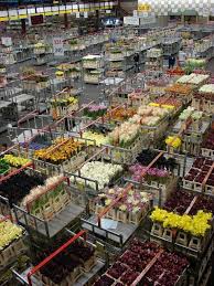 Aalsmeer flower auction is a flower auction that takes place in aalsmeer, netherlands. Aalsmeer Flower Auction Adventure Of The Month Netherlands Travel Holland Netherlands Amsterdam Flower Market