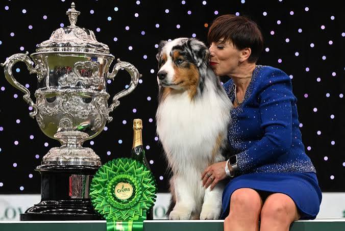 In photos: Canines compete for best in show at Crufts 2024 - The Washington  Post