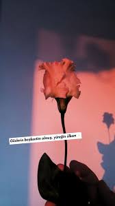 Leadership Quotes Quotes Love Quotes For Him In Urdu Love Quotes For Him Roma Romantik Ask Sozleri Ilham Iliski Sozleri