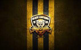 New users enjoy 60% off. Download Wallpapers Black Leopards Fc Golden Logo Premier Soccer League Yellow Metal Background Football Black Leopards Psl South African Football Club Black Leopards Logo Soccer South Africa For Desktop Free Pictures For