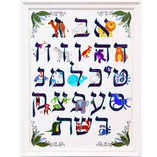 Purebred dogs and breeds under development in alphabetical order. Alphabet Animals Hebrew