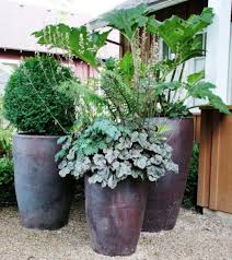 2.0 out of 5 stars. Flawless How To Plant In A Pot Properly For A Small Space In Your Home 30 Pictures Ideas Https Large Garden Pots Potted Plants Outdoor Large Outdoor Planters