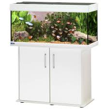 Animalerie Ensemble Aquarium Sous Meuble Eheim Vivaline 180 Wenge Animalerie Nourriture Animaux Animalerie En Ligne
