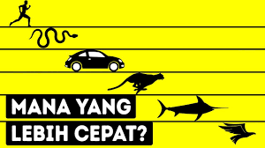 Makhluk Hidup Tercepat Di Dunia Youtube