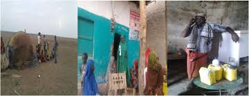 Types of camel populations in ethiopia. Camel Milk Production And Marketing Pastoral Areas Of Afar Ethiopia Pastoralism Full Text