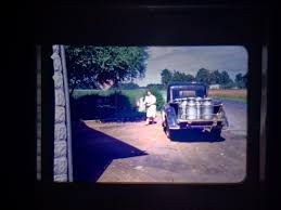 of course I bought the shoebox full of old Kodak Kodachrome slides