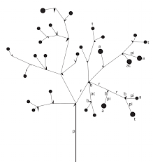 Image result for Monanthotaxis orophila