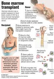 Bone Marrow Transplant Oncology Nursing Pediatric Nursing Medical Surgical Nursing