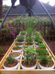 2 standard kitchen sponges (.99 a 4 pack). 46 5 Gallon Buckets Ideas Container Gardening Bucket Gardening 5 Gallon Buckets