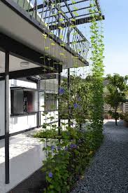 Steel Cables For Creepers Garden House Tetawowe Atelier Garden Ideas Jardines Jardines Verticales Terraza Jardin