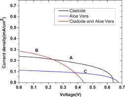 Aloe typically have thicker, more fleshy leaves than agave. Dye Sensitized Solar Cells Using Aloe Vera And Cladode Of Cactus Extracts As Natural Sensitizers Sciencedirect