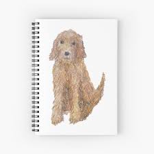 Check out our poodle doodle selection for the very best in unique or custom, handmade pieces from our shops. Irish Doodle Dog Gifts Merchandise Redbubble