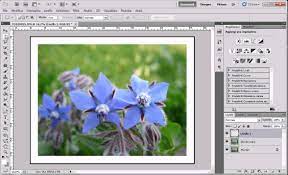 Tutorial Bordi E Cornici Con Photoshop Photoshop Bordi E Cornici Tutorial