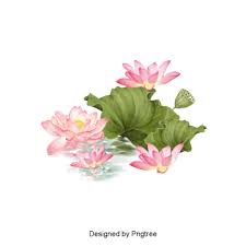 Dizajn Cvetochnyj Ukrasheniya Iskusstvo Spravochnaya Informaciya Floral Wreath Watercolor Wreath Watercolor Flower Painting