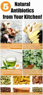 5 Natural Antibiotics From Your Kitchen Natural Antibiotics Holistic Health Remedies Herbs For Health
