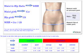 Waist To Hip Ratio Women Health Info Blog