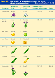 Science Of Heredity Mendelian Genetics