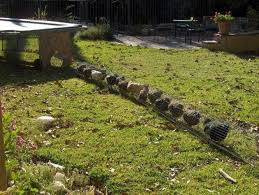 Build A Diy Chicken Tunnel In Your Backyard Hinterhofhuhner Huhner Im Garten Hinterhof Garten