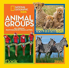 Animal Groups By Jill Esbaum This Colorful Book Introduces 10 Groups Of Animals And Thei Animal Groups National Geographic Kids National Geographic Animals