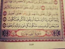 Surah yaseen ((complete surah in one video)surah ya sin recited by shaykh mishary al afasi.this surah was revealed in makkah.surah 36 ya sin, has 83 ayah(ver. Islamic Art And Quotes The Final Two Verses Of Surat Yasin Quran