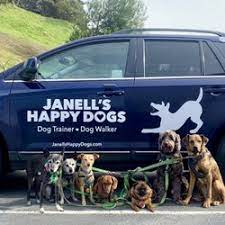 Find dog boarding services nearby. Best Dog Boarding And Training Near Me June 2021 Find Nearby Dog Boarding And Training Reviews Yelp