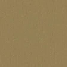 Shaw carpet tiles may be the answer to you search, with all types of styles and colors to choose from. Color Accents Shaw Philadelphia Carpet Shop From Home Save