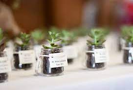 Diy Wedding Plant Favors Are Perfect For A Green Wedding Plant Wedding Favors Succulent Wedding Favors Succulent Favors