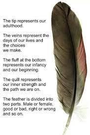 Love It Native American Spirituality Native American Quotes Native American Symbols