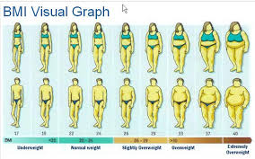 74 Inquisitive Heigh Weight Chart Women