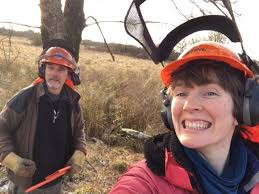 Lessons from the bog