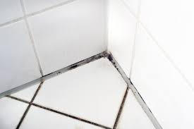 Stagnant water in showers spurs mold growth, which is why mold is one of the irritants that can be identified through allergy tests. The Different Types Of Mold And How To Remove Them