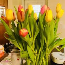 Check out our fresh market flowers selection for the very best in unique or custom, handmade pieces from our shops. Petals A Florist 55 Photos 31 Reviews Florists 1422 Woodmont Ln Nw Atlanta Ga Phone Number Yelp