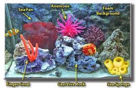 We did not find results for: Aquarium Decoration Ideas Make Your Own Artificial Coral Reefs Artificial Coral Aquarium Decorations Aquarium