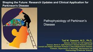 We did not find results for: Pathophysiology Of Parkinson S Disease 2019 Udall Center Research Symposium Youtube