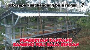 Kandang kambing tingkat baja ringan mp3 & mp4. Pembuktian Kadang Kambing Full Baja Ringan Youtube