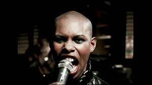Six years after that band broke up, the members of skunk anansie (including bass player cass, guitarist ace, and drummer robbie france, who was. Skunk Anansie Charlie Big Potato Youtube