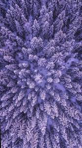 Cute Wallpapers Aesthetic Lavender Candy Ensaioinfantil Mundorosa Wallpaper Preppy Wallpaper Christmas Picture Background