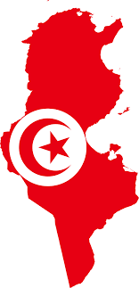 Tunisia has emerged as a very powerful country and the service sector is booming. File Flag Map Of Tunisia Svg Wikipedia