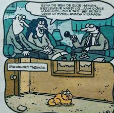 Sehnaz Onlu Adli Kullanicinin Karikatur Yigit Ozgur Panosundaki Pin Karikatur Hayvan Tatli
