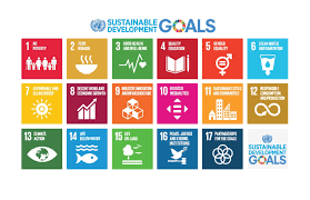 Sustainable Development Goals Sdgs In Local Languages Sustainable Development Goals Sustainable Development Sustainability