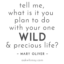 Tell Me What Is It You Plan To Do With Your One Wild Precious Life Mary Oliver Maryoliver Maryoliverpoetry Q How To Plan Quotes Words