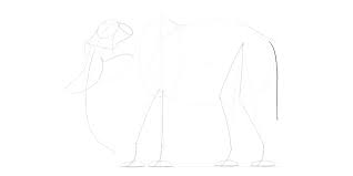 Sketsa gambar hewan gajah elephant coloring pages 698x520 download hd wallpaper wallpapertip. Cara Menggambar Gajah Langkah Demi Langkah