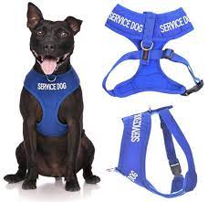 Service Dog Do Not Disturb Dog Is Working Blue Color Coded Non Pull Front And Back D Ring Padded And Waterproof Ve Service Dogs Service Dog Vests Dog Harness
